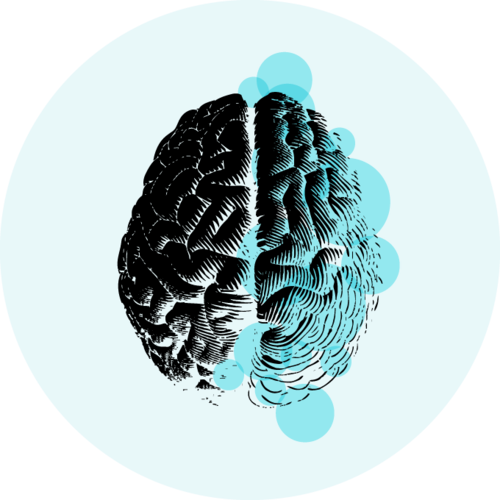 Top view of a brain scattered with translucent circles of varying sizes